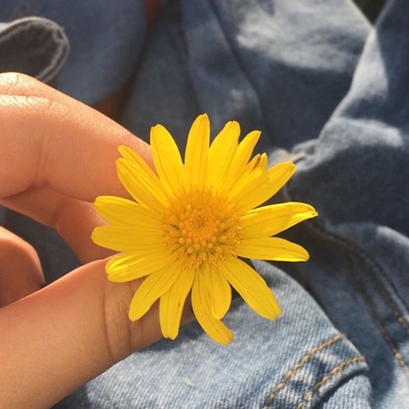 Meet your Posher, Rayleigh - Picture 1 of 1